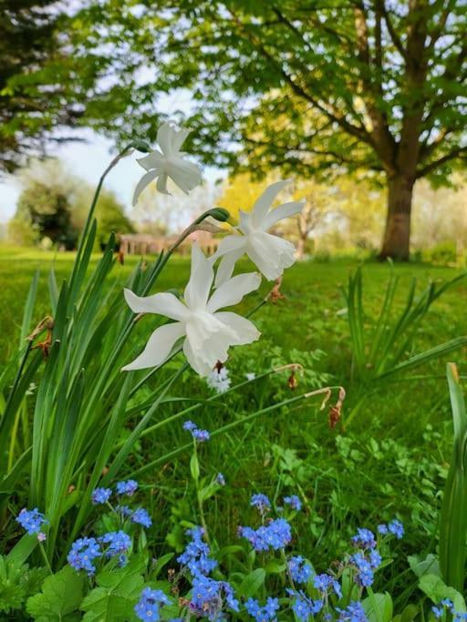 Host & Stay - Clara Cottage Bretforton 외부 사진