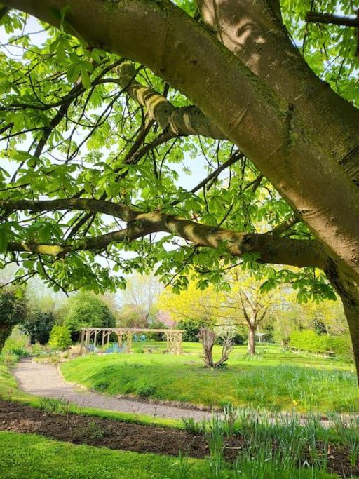 Host & Stay - Clara Cottage Bretforton 외부 사진